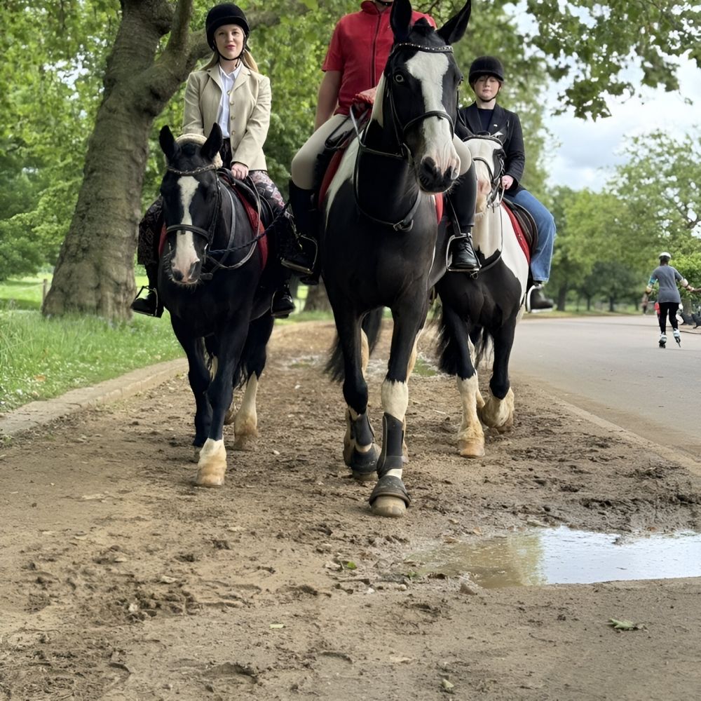 Looking for a unique experience near the Royal Garden Hotel? Just a short walk away, Hyde Park Stables offers horseback riding through picturesque Hyde Park and alongside the Serpentine lake. Whether you're an experienced rider or a beginner, enjoy discovering London on this traditional British adventure.